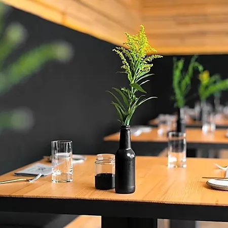 Hotel Freistil Boutiquehotel 4*